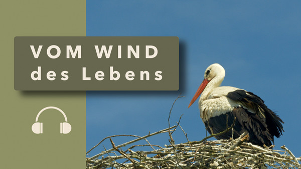 Logbuch - Eintrag Nr. 5