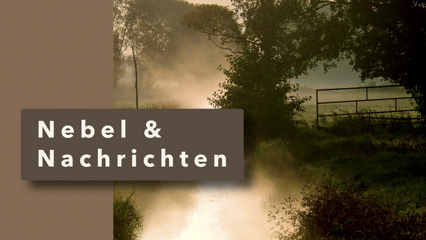 Zwischen Störchen, Nebel und Nachrichten – Spaziergänge durch Brandenburg