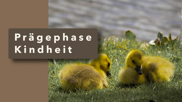 Prägephase Kindheit - Was passiert mit unseren Kindern?